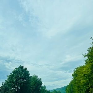 Meet your Posher, Yan